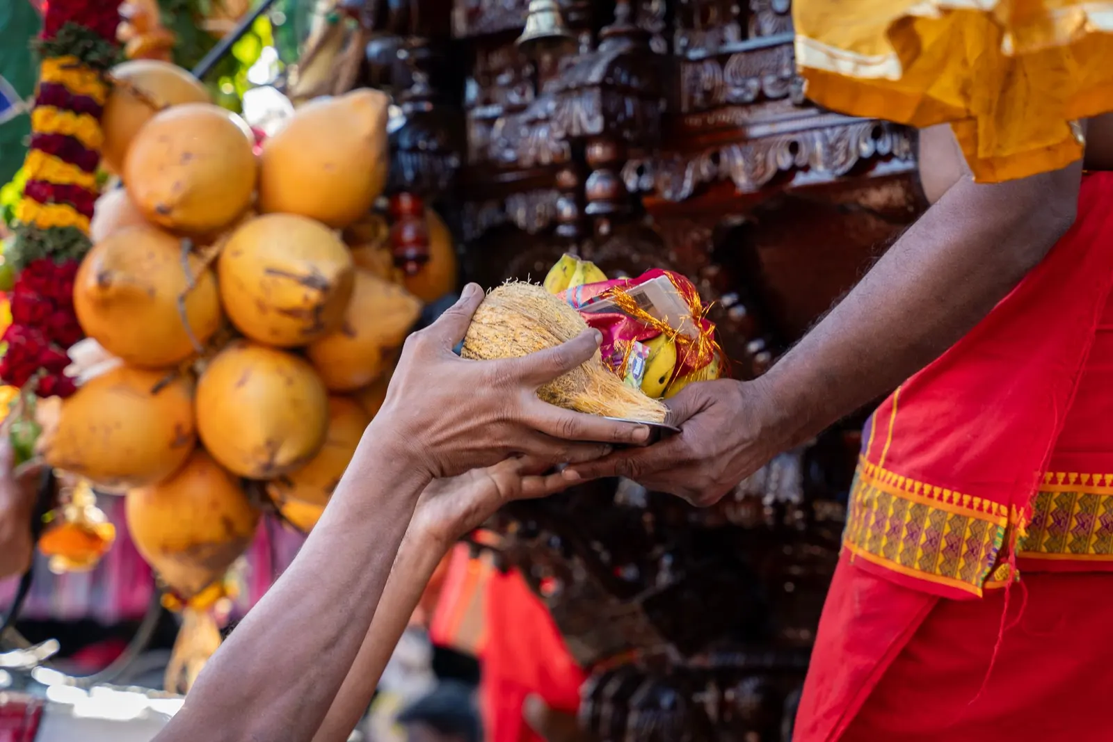 A devotee's hands placing flowers and a coconut as an offering at a temple altar.