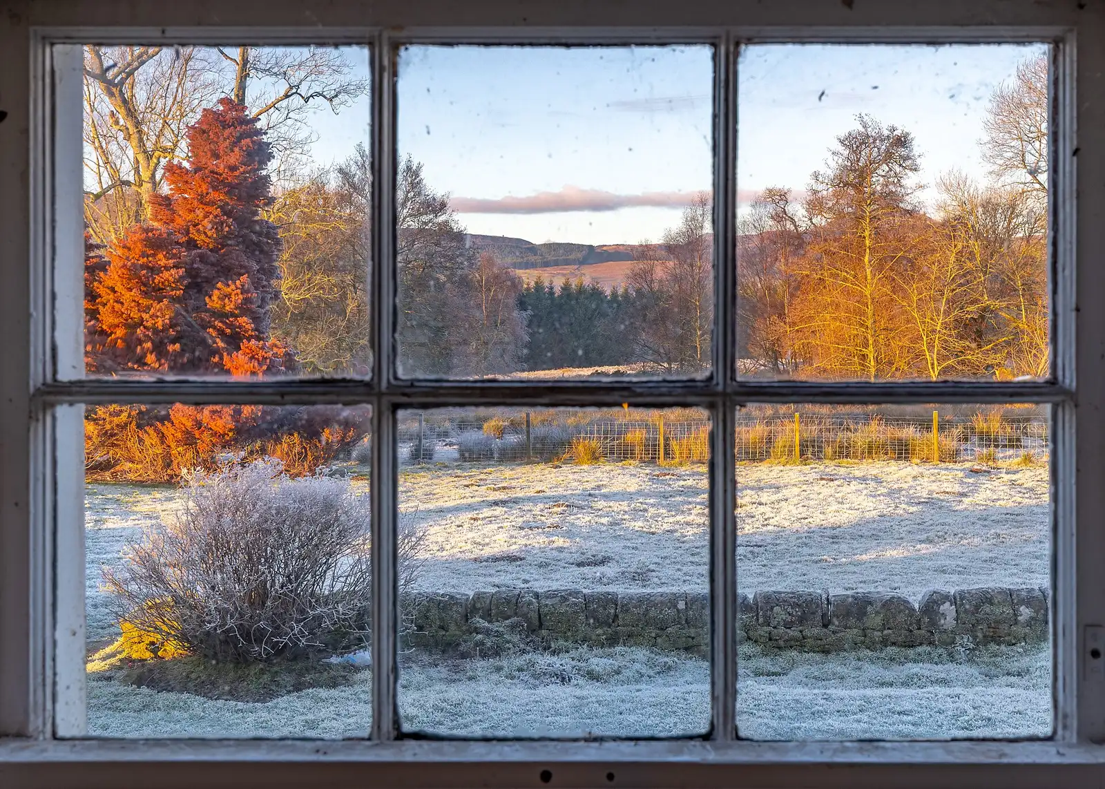 A quiet morning scene by a frosted window, tea in hand.